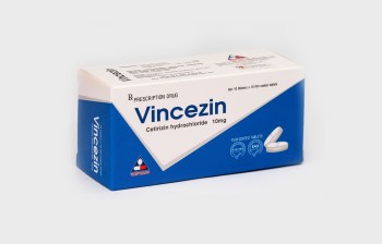 Vincezin-eng